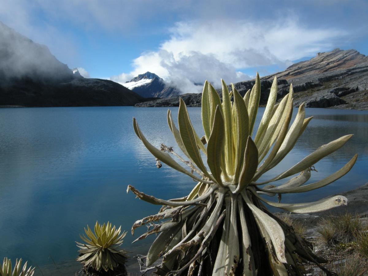 Hostal El Caminante El Cocuy Buitenkant foto